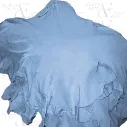 Medium Buffalo Wet Blue Hides (AE43)
